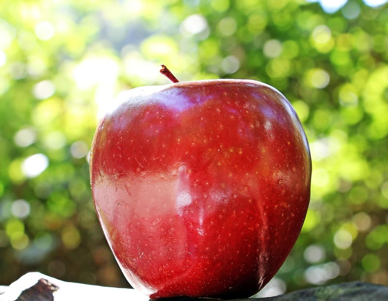 Fresh Apples from Local Farm